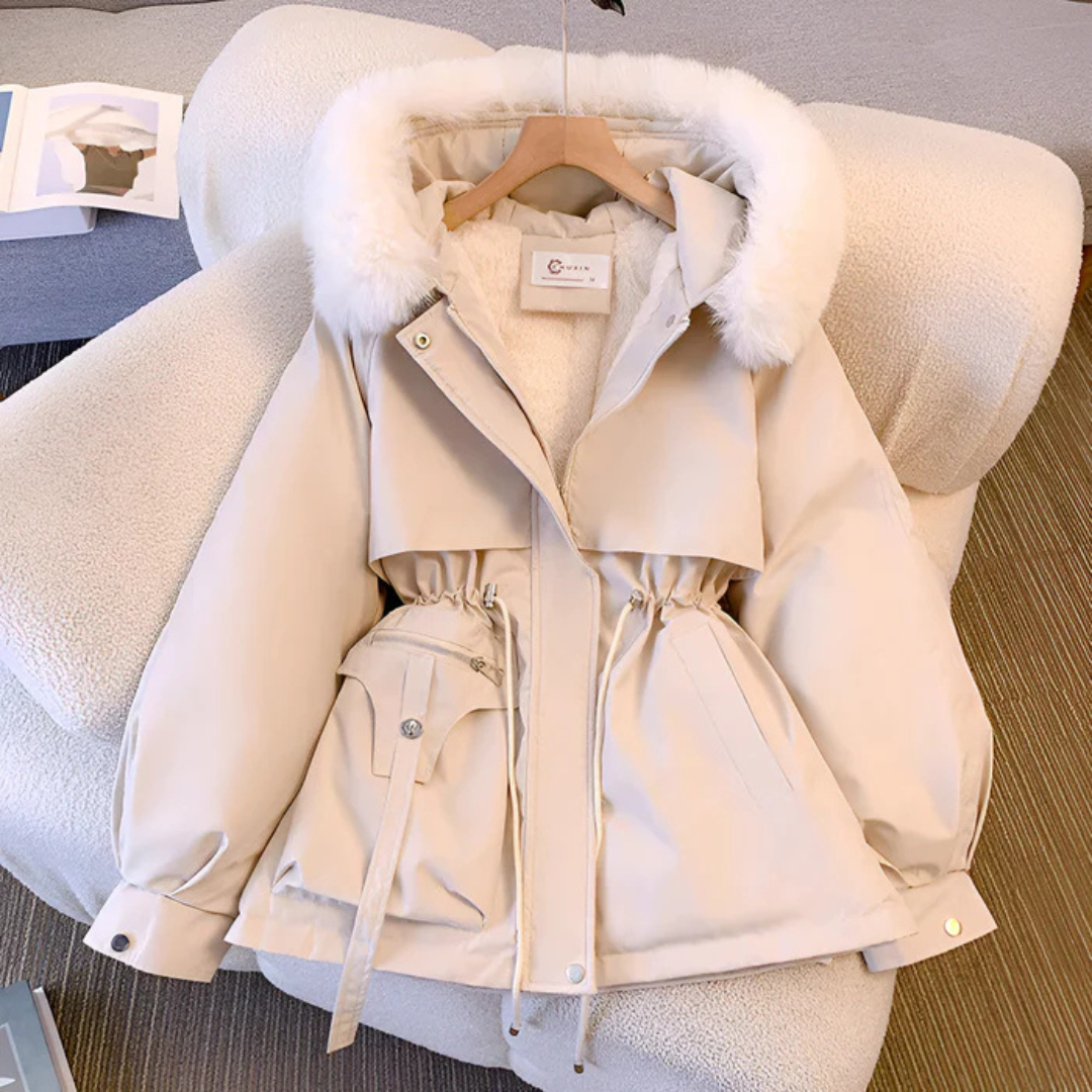 Jacket winter