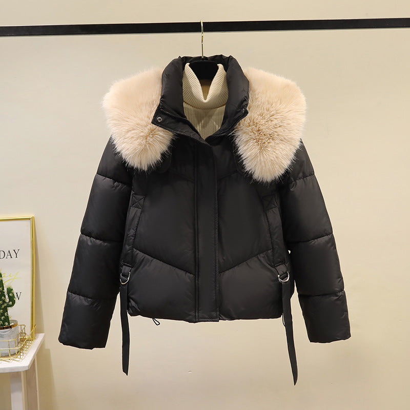 Jacket down women&