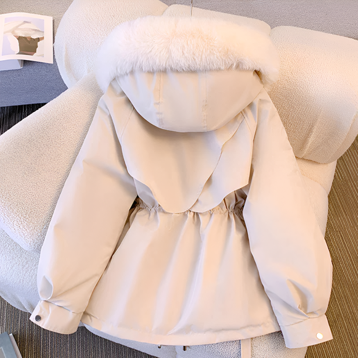 Jacket winter