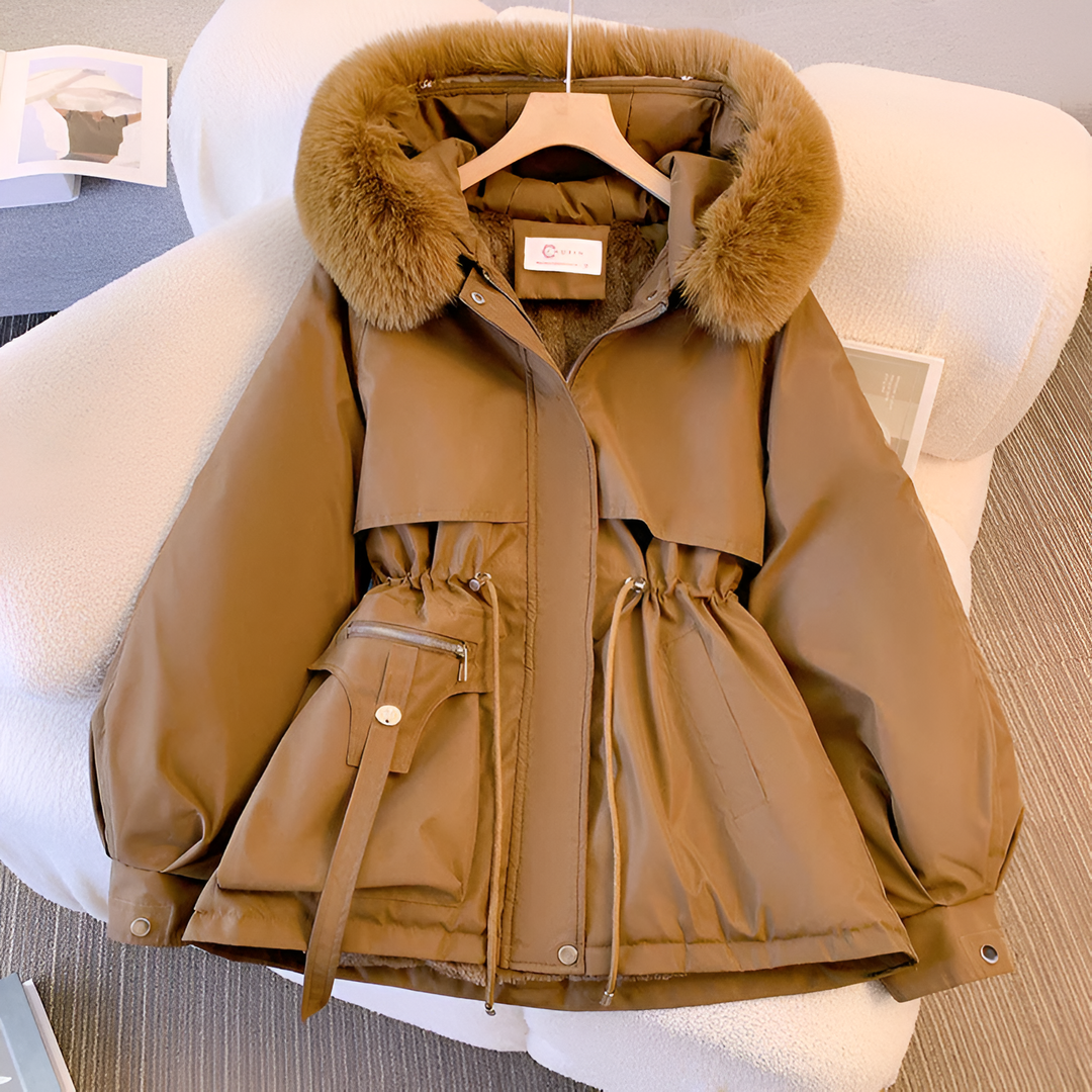 Jacket winter
